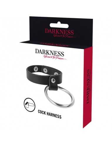 Darkness metal ring for the penis and testicles - MySexyShop.eu