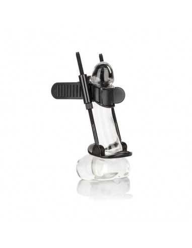 Calex penis extender | MySexyShop