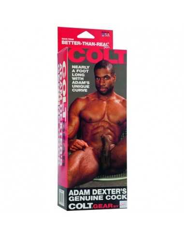 Colt adam dexter's cock - MySexyShop.eu