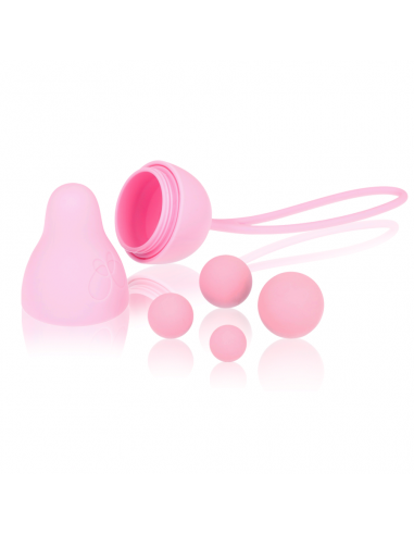 Intimichic pelvis health i 2.0 rehabilitacion pelvica - MySexyShop.eu