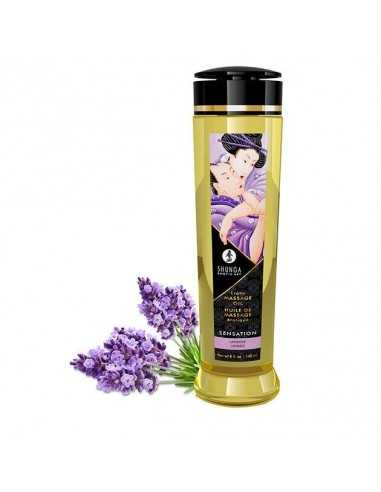 Shunga Olio da Massaggio Erotico