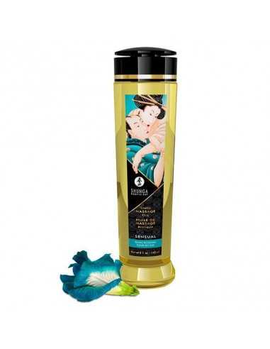 Shunga Erotic Massage Oil | MySexyShop