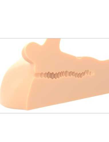 Pdx Plus Masturbador Perfect Ride... Pdx Plus Masturbador Perfect Ride...