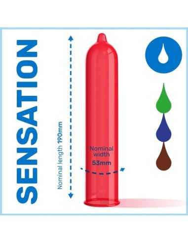 Pasante Condoms Eco Pack Flavors Bag 288 Units