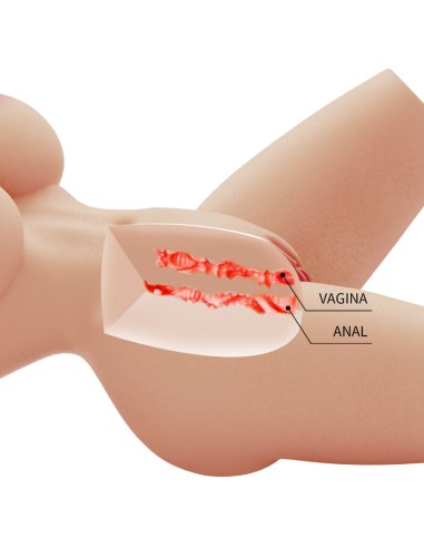 Crazy Bull Torse Féminin Réaliste...