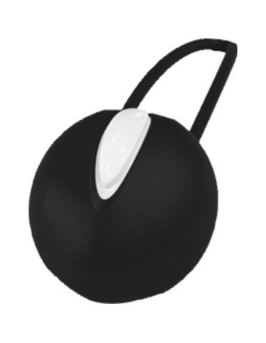 Fun Factory Smartball Uno Kegel Ball...