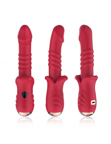 Armony Point A Dildo Vibratore...