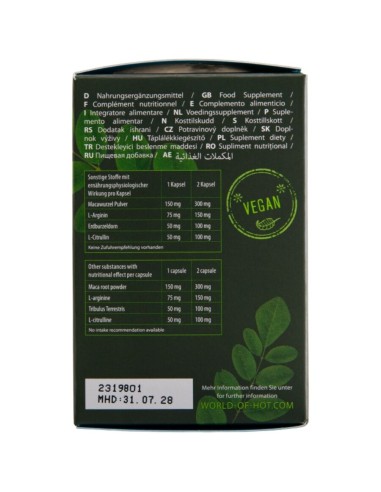 Hot Moringa Men Caps Uomo 60 Unità