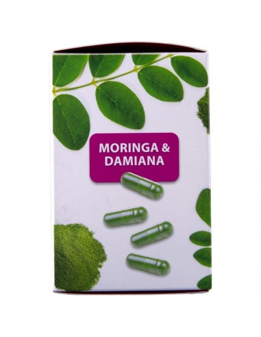 Hot Moringa Damenkappe 60 Einheiten