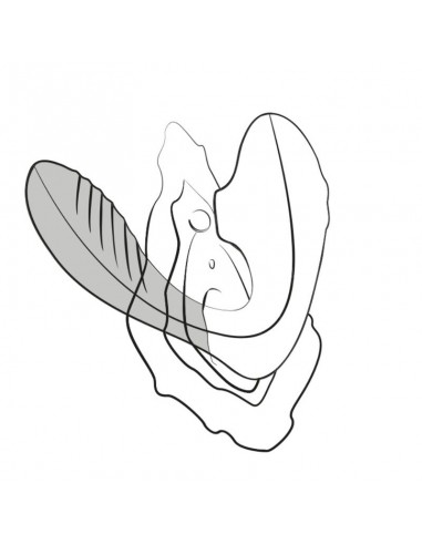Romp Reverb G Spot Stimulator And...