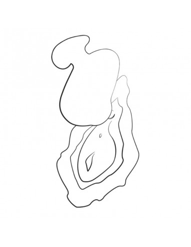 Romp Kiss Klitoralsaugfähiger...