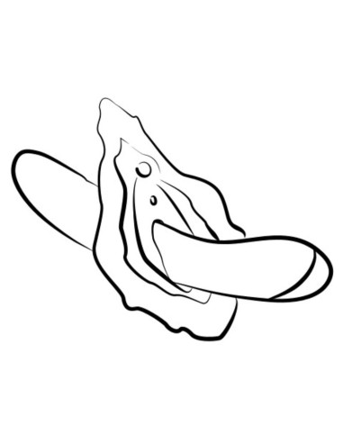 Romp Hype Vibrador Punto G... Romp Hype Vibrador Punto G...