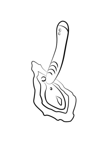 Romp Hype Vibrador Punto G... Romp Hype Vibrador Punto G...