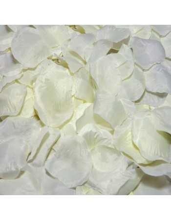 Diablo picante 100 vanillenblätter - MySexyShop.eu